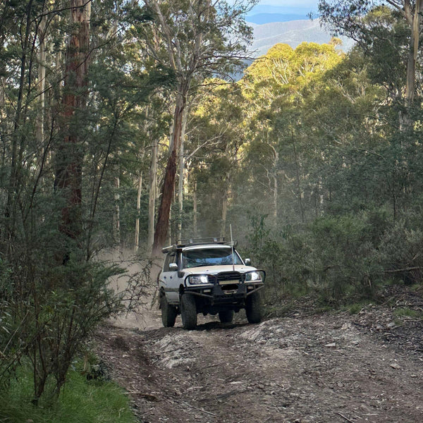 4x4 vehicle on a dirt road surrounded by trees
